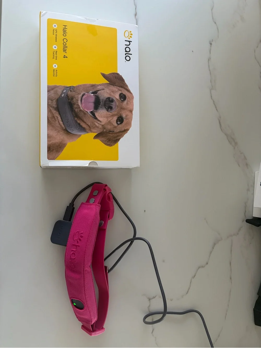 Halo Pink Rechargeable Dog Collar - Halo